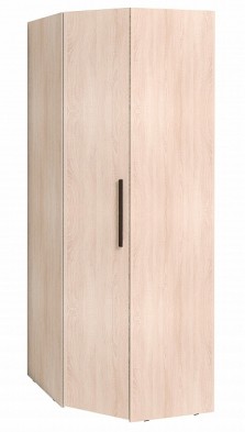 Шкаф для одежды угловой 12 Bauhaus в Якутске - mebel154.com