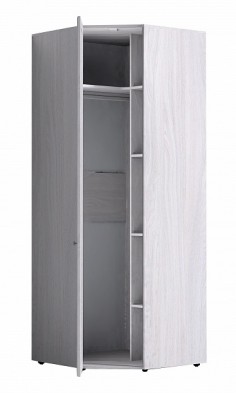 Шкаф для одежды угловой 56-2 Paola в Якутске - mebel154.com