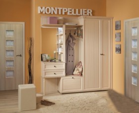 Шкаф для прихожей МЦН 2 Montpellier в Якутске - mebel154.com